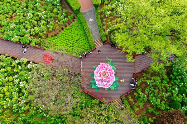 豫見高端，洛賞牡丹，錯(cuò)過等一年