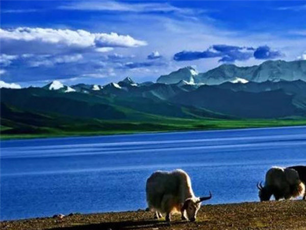 公司成功舉辦“慶元旦、迎新春”長(zhǎng)跑比賽