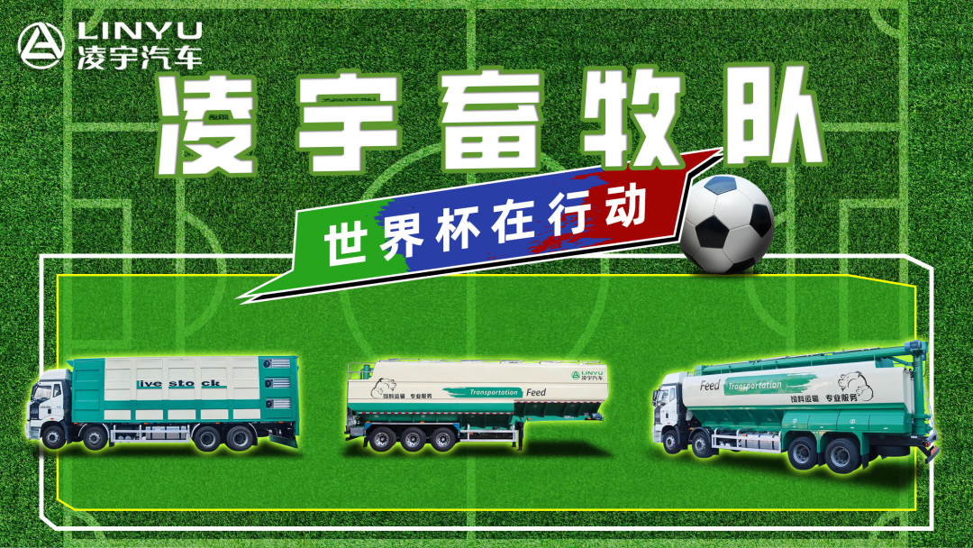 奪冠世界杯！你注意到這支球隊(duì)了嗎？